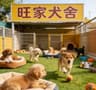 旺家犬舍