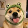 团团犬舍