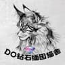 钻石缅因猫Ss-