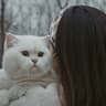 昌平麒麟猫舍