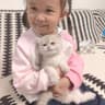 自己家养的猫