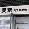 灵宠爬宠体验馆