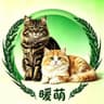 手机用户1513